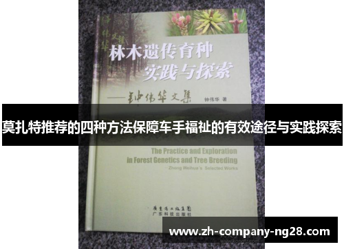 莫扎特推荐的四种方法保障车手福祉的有效途径与实践探索